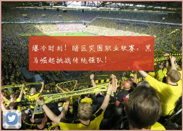 爆冷时刻！暗区突围职业联赛，黑马崛起挑战传统强队！